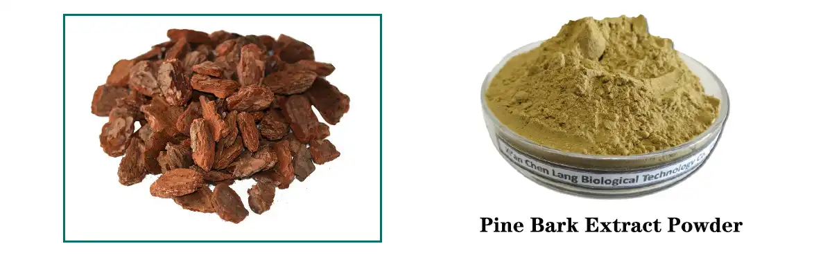 Pine Bark Powder.jpg